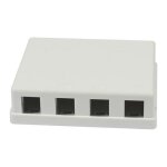 Synergy21 Keystone, Modulträger, Patchpanel für...