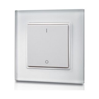 Synergy 21 LED Serie EOS 05 Wandtaster 1-fach Serie 1