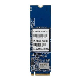 SSD - 256 GB - internal - M.2 - M.2 Card