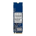 SSD - 256 GB - internal - M.2 - M.2 Card