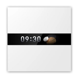 Aqara Display Switch V1