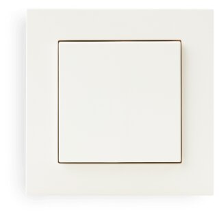 Eve Light Switch