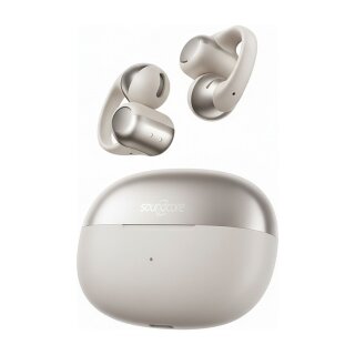 Shokz OpenDots One Grau
