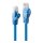 LINDY Patchkabel Cat6 U/UTP Basic blau 0.30m