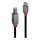 LINDY 3m USB 2.0 Typ C an B Kabel, Anthra Line