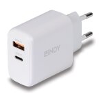LINDY USB Ladegerät Typ A+C GaN Charger 65W, weiß