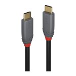LINDY USB 3.1 Kabel Typ C/C 5A PD Anthra Line M/M 1m