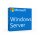 Microsoft WINSVR CAL 2025 1User