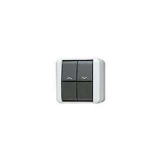 Jung 839 VW AP/WD-Jalousietaster 1p