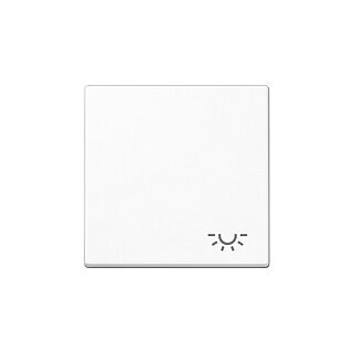 Jung A 590 L WW Wippe mit Licht-Symbol