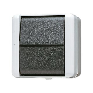 Jung 807 W AP/WD-Wippkreuzschalter