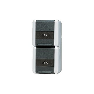 Jung 8220 NA W AP/WD-Doppel-Steckdose Schriftfeld
