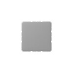 Jung CD 594-0 GR Blindabdeckung mit Tragring