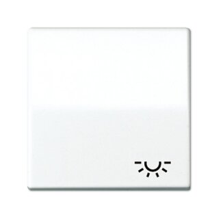 Jung AS 591 L WW Wippe mit Lichtsymbol
