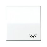 Jung AS 591 L WW Wippe mit Lichtsymbol