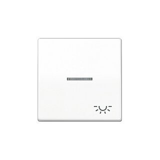 Jung AS 591 KO5L WW Wippe Kontroll mit Licht-System