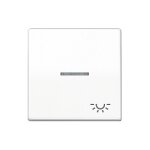 Jung AS 591 KO5L WW Wippe Kontroll mit Licht-System