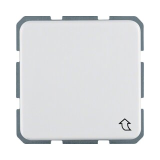 Berker 4715 09 UP-Steckdose PWS UP/WG IP44