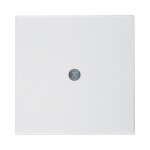 Berker 1019 89 89 Zentralstück f Kabelauslass pws