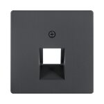 Berker 14076086 Zentralstück f. UAE-Steckdose...