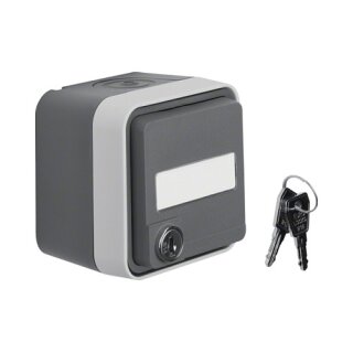 Berker 47393505 FR-NA-Steckdose abschließbar AP WD W.1 grau