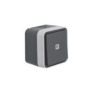 Berker 50763505 FR-Taster beleuchtet mit Wechsler W.1 grau