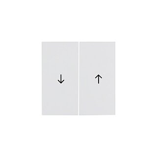 Berker 16258989 Wippen mit Symbol Pfeil pws