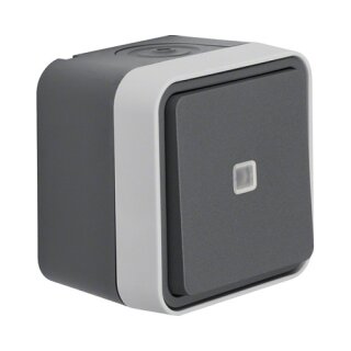 Berker 30763525 Ko-Wechselschalter, beleuchtet AP WD W.1 grau