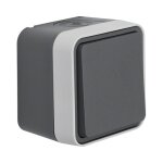 Berker 30763505 FR-Wechselschalter AP/WD W.1 grau
