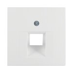 Berker 1407 19 09 Zentralstück PWS für...