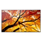 Sharp M862 Digital Signage Display 217,2 cm 86 Zoll