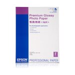 Epson Premium Glossy Photo Paper A 2, 25 Blatt, 255 g S...