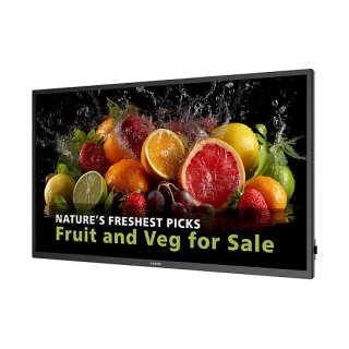 PHILIPS D-Line 55BDL5050D 139,7cm(55") 24/7/UHD/Android14 (Speditionsversand)