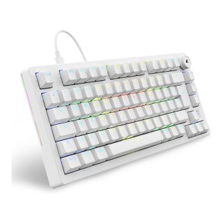 Sharkoon Gaming Tastatur Skiller SGK25 weiß DE