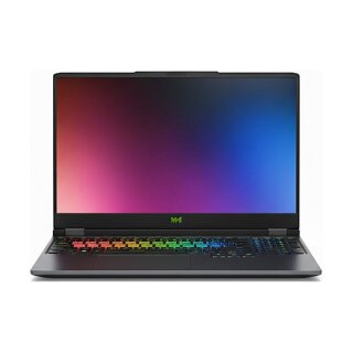 Schenker XMG FUSION 16 - M25kfc - 16" QHD 300Hz IPS Display, Intel Core Ultra 9 275HX, 32GB RAM, 1TB SSD, NVIDIA RTX 5070, DOS