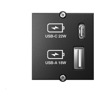 BACHMANN Custom Modul USB Charger Typ A & C 22W, Quickcharge, schwarz