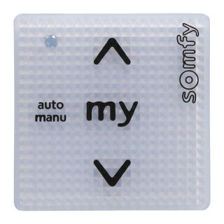 SOMFY Smoove Uno IB + Pure Antriebssteuerung