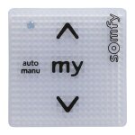 SOMFY Smoove Uno IB + Pure Antriebssteuerung
