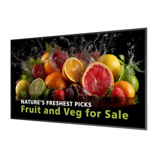 Philips 98BDL5050D Digital Signage Display 247 cm 98 Zoll