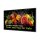 PHILIPS D-Line 43BDL5050D 109,2cm(43") 24/7/UHD/Android14