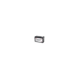 APC Ersatzbatterie Nr.110 RBC110