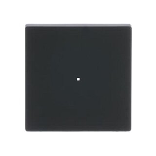 BUSCH JAEGER BJ 6230-10-885 Wippe 1f schwarz matt Busch-free@home future linear