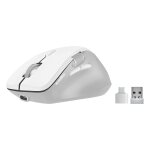 Speedlink LIBERA Rechargeable Mouse Wireless BT Silent white