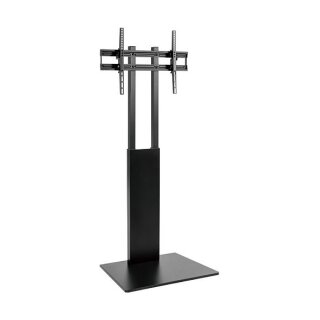Equip Bodenstandhalter 37"-75"/1TFT 40kg Univ./Slim TV sw