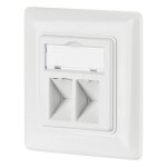 Netzwerkdose 2-fach für Keystones, Weiss, RAL 9003