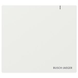 BUSCH JAEGER BJ SAP.13 System Access Point 3.0
