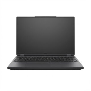 Schenker XMG Apex 16 MAX M25bpv 16" WQXGA R9 9955HX 32GB/1TB SSD RTX5070 Ti nOS