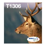 Epson Original Easy Mail Packing T1306 Hirsch...