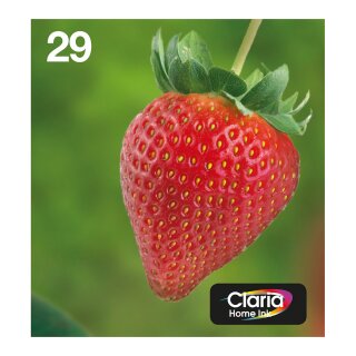 Epson Original Easy Mail Packing 29 Erdbeere Druckerpatronen - 4er Multipack (C13T29864511)