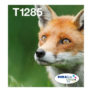 Epson Original Easy Mail Packing T1285 Fuchs Druckerpatronen 4er Multipack BK/C/M/Y (C13T12854511)